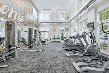 A gym with treadmills, elliptical machines, and a wall mural.